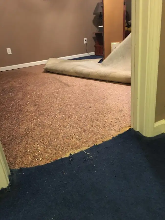 Carpet pad removal revealing water damage during Drying & Dehumidification in Mount Zion
