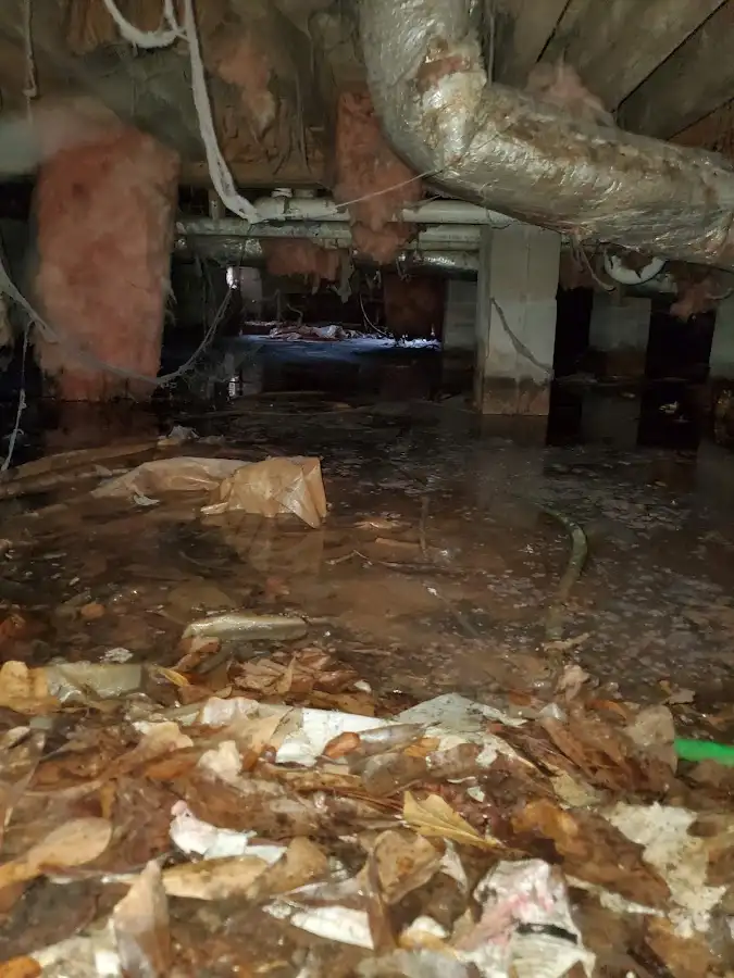 Crawl space flood assessment for Commercial Water Damage Restoration in Mount Zion