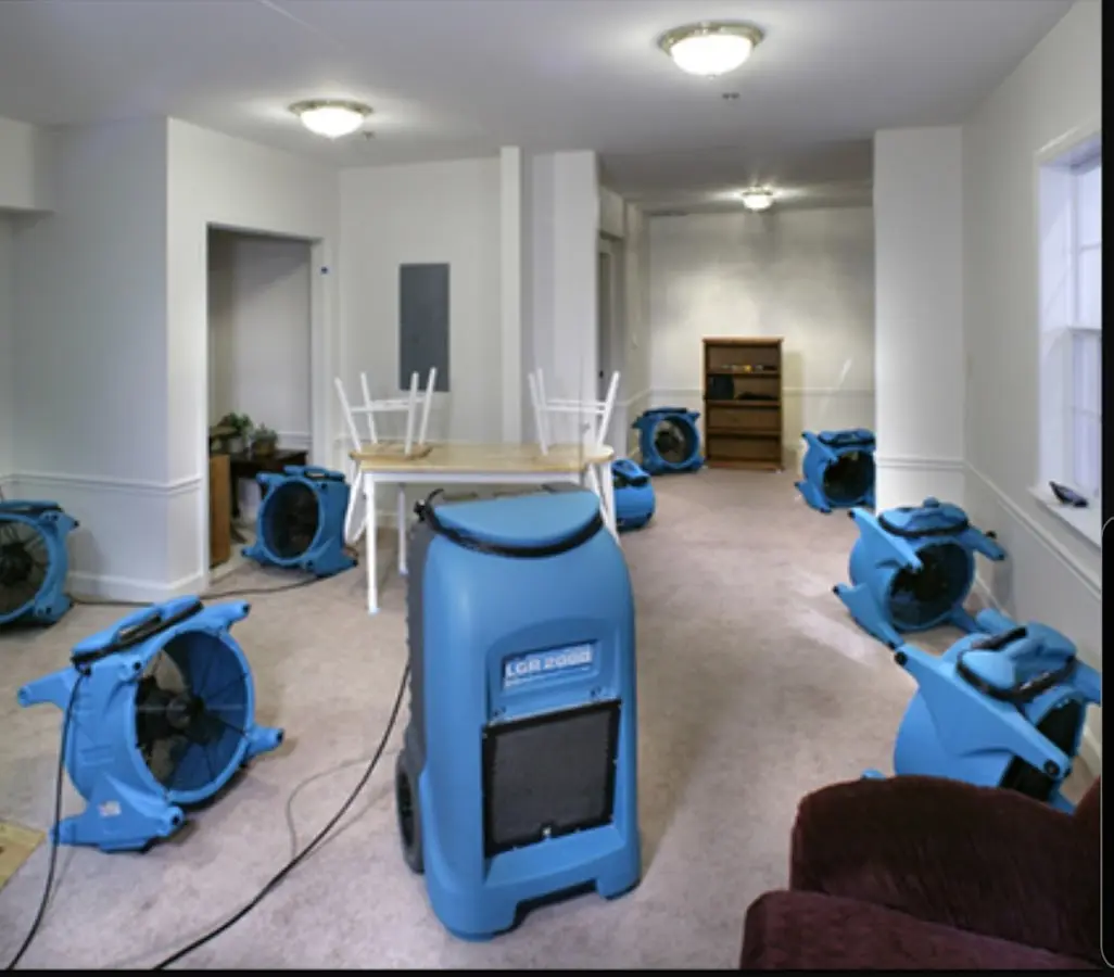 Air movers and dehumidifier setup for Water Extraction & Removal in Mount Zion